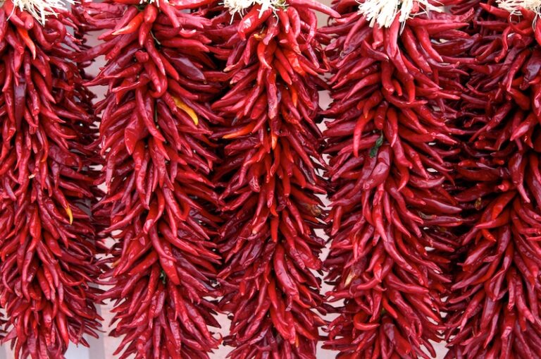 How to Make a Chile Ristra: Crafting a Taste of the Southwest