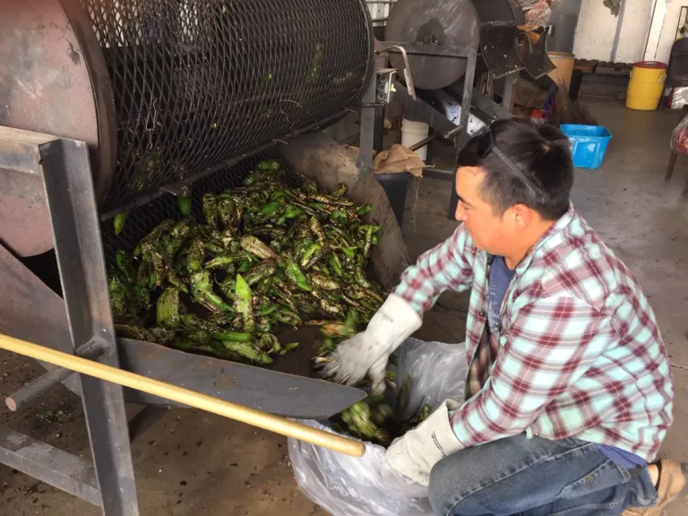How to troubleshoot common Chile Roaster problems
